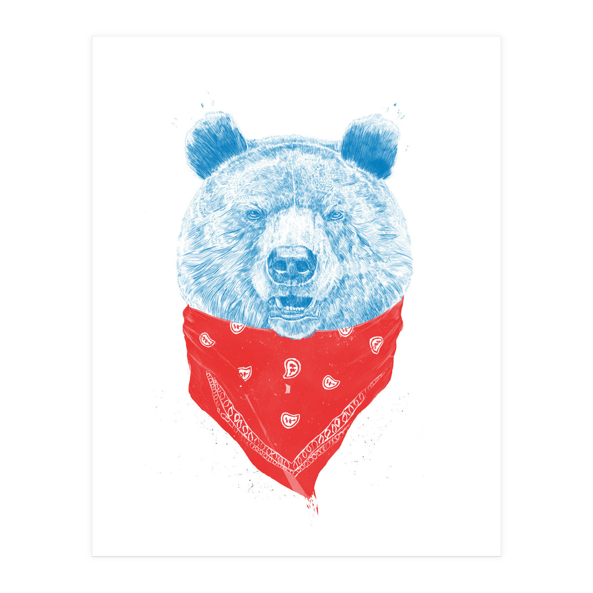 Wild Bear Color Version (Print Only)