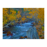 Nature (Print Only) thumbnail