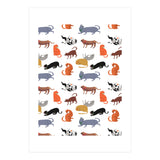 Cat Pattern (Print Only) thumbnail