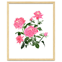Rose V2 Art Print