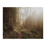 Mt. Davidson II (Print Only) thumbnail
