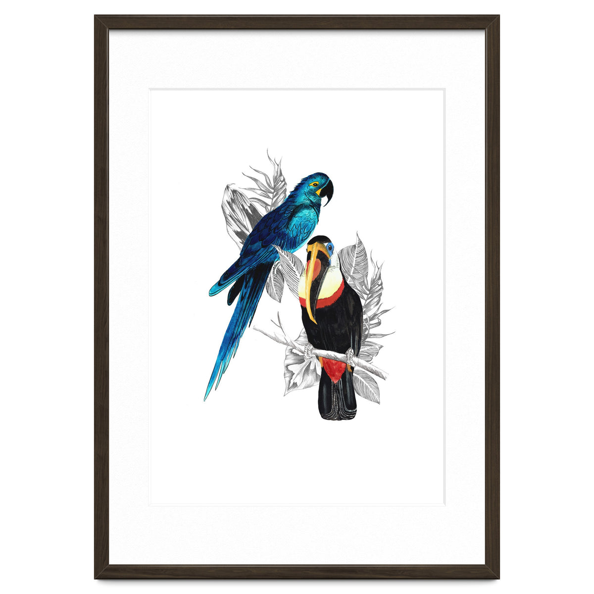 The Toucan and the Parrot