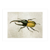 83 (Print Only) thumbnail