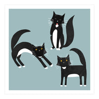 Black and White Tuxedo Cats (Print Only)