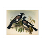 Magpies Vintage Painting (Print Only) thumbnail