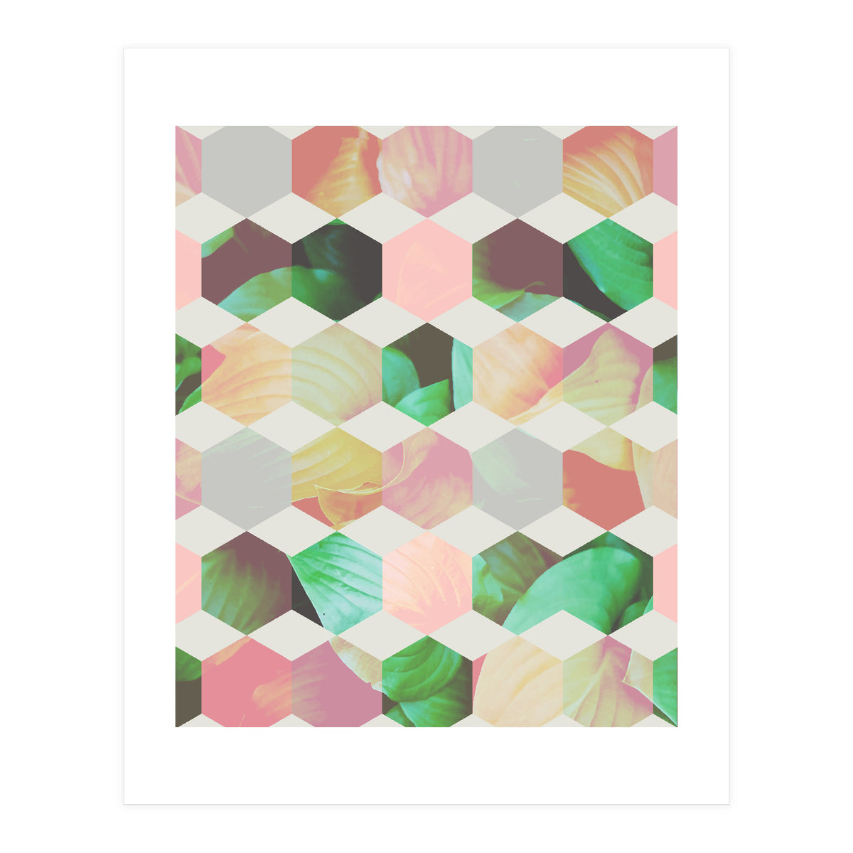 Epsilon (Print Only)