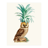 Pineapple Owl Vintage (Print Only) thumbnail