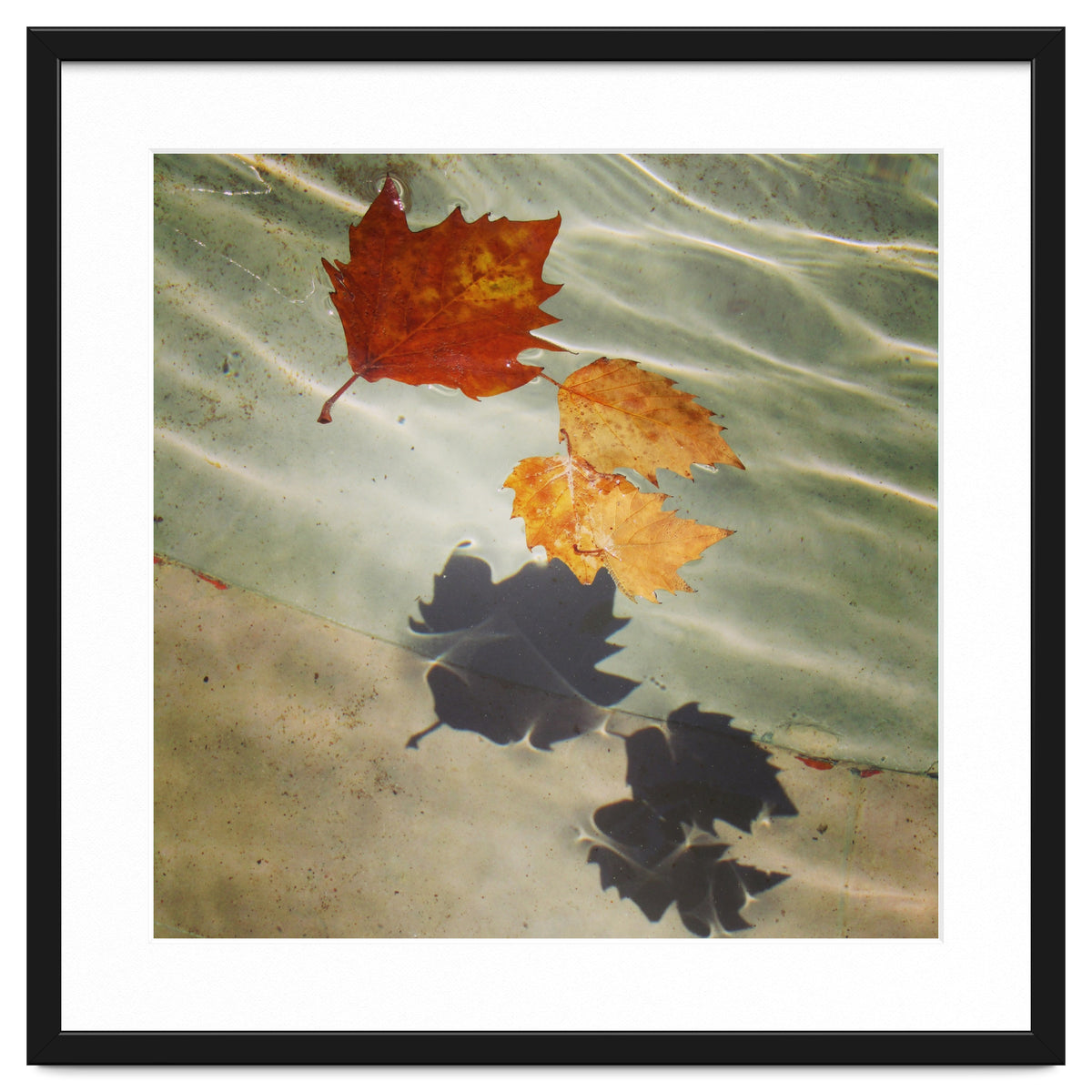 Floating leaves