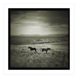 Gillen (Print Only) thumbnail