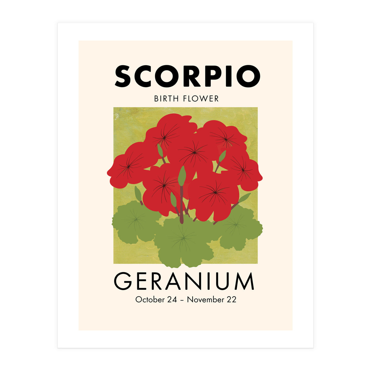 Scorpio Birth Flower Geranium (Print Only)