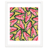 Caladium, Botanical Tropical Nature Plants, Vintage Bohemian Exotic Blush Leaves thumbnail