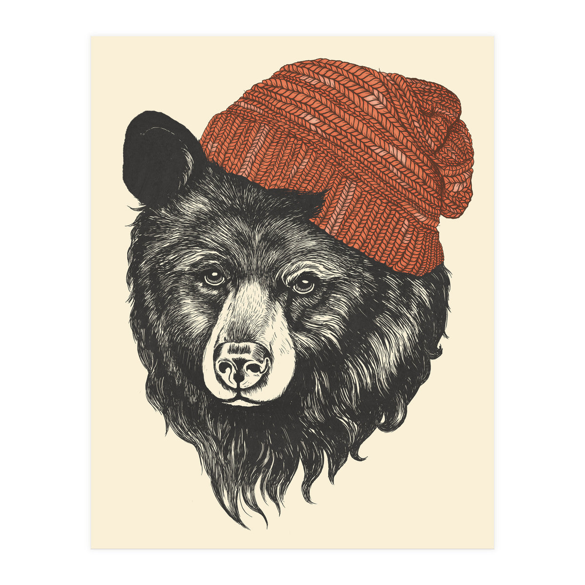 Zissou The Bear (Print Only)