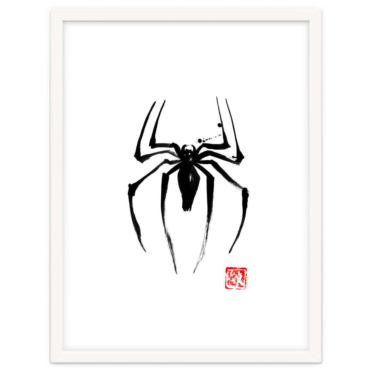 Spider