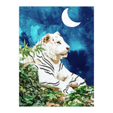 Moonbath (Print Only) thumbnail
