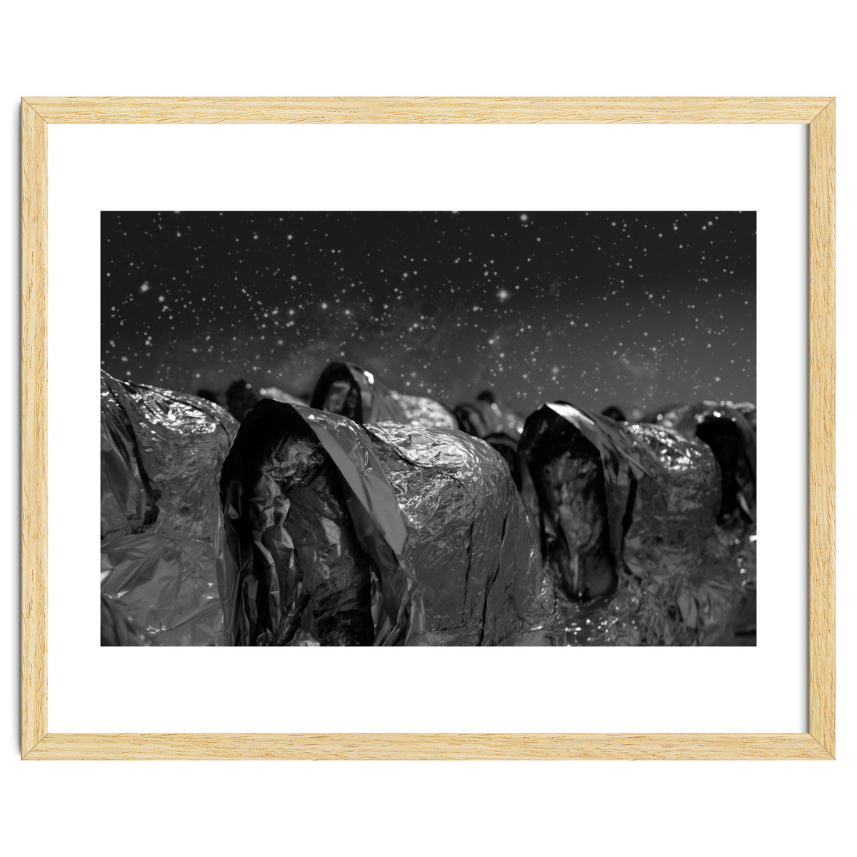 Fellini's Plastic Sea