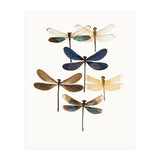 Cc Insects 10 (Print Only) thumbnail
