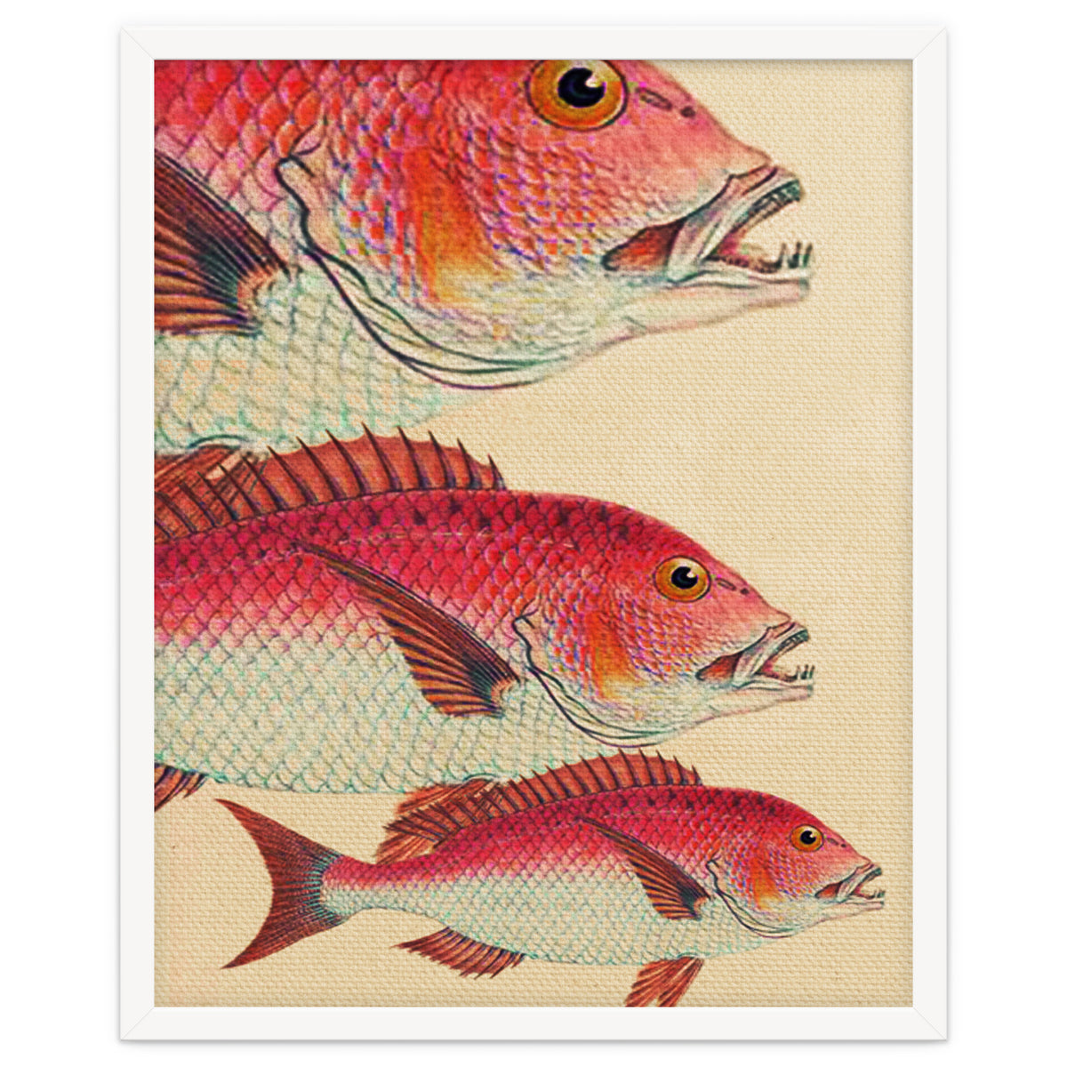 Fish Classic Designs 7