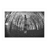Circle of Growth and decay  (Print Only) thumbnail