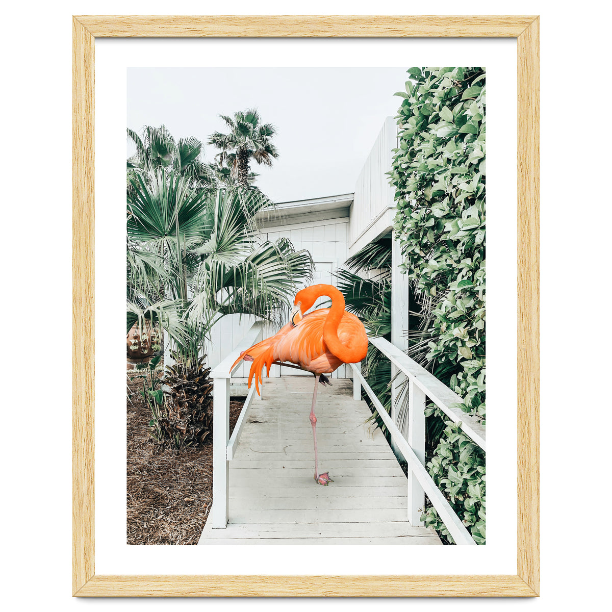 Flamingo Beach House