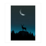 Wild Nature - Nocturne (Print Only) thumbnail