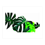 Fresh Leaves (Print Only) thumbnail