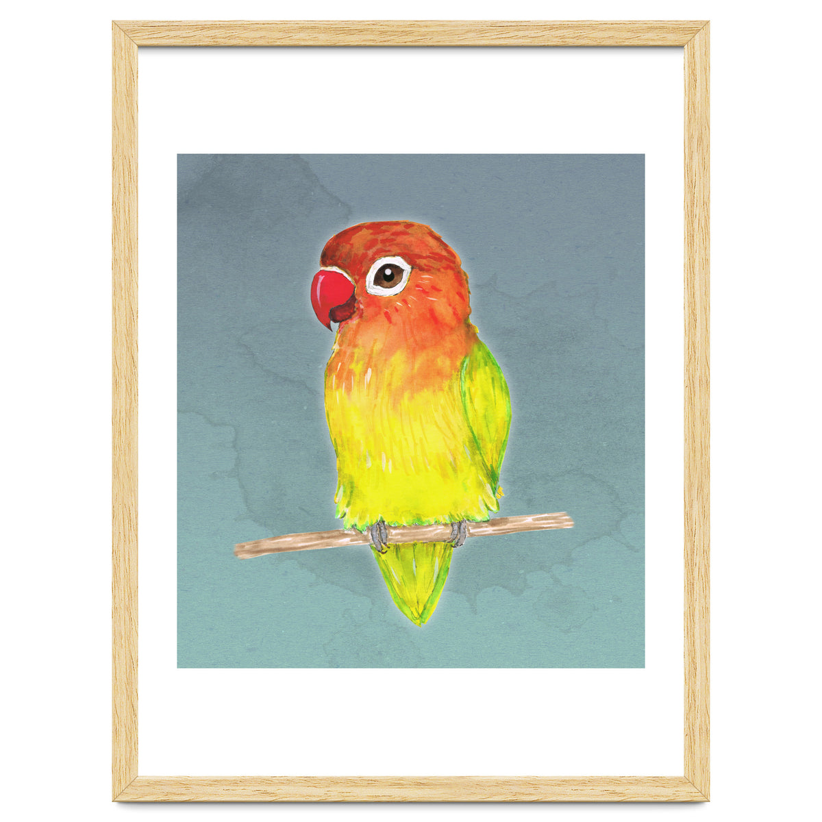 Cute yellow Fischer's lovebird