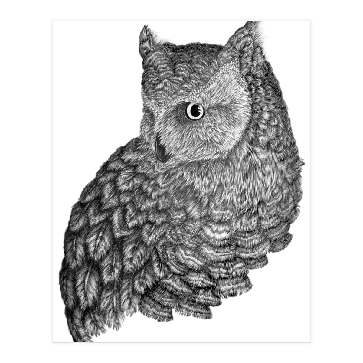 A Friend For Forsythe (Print Only)