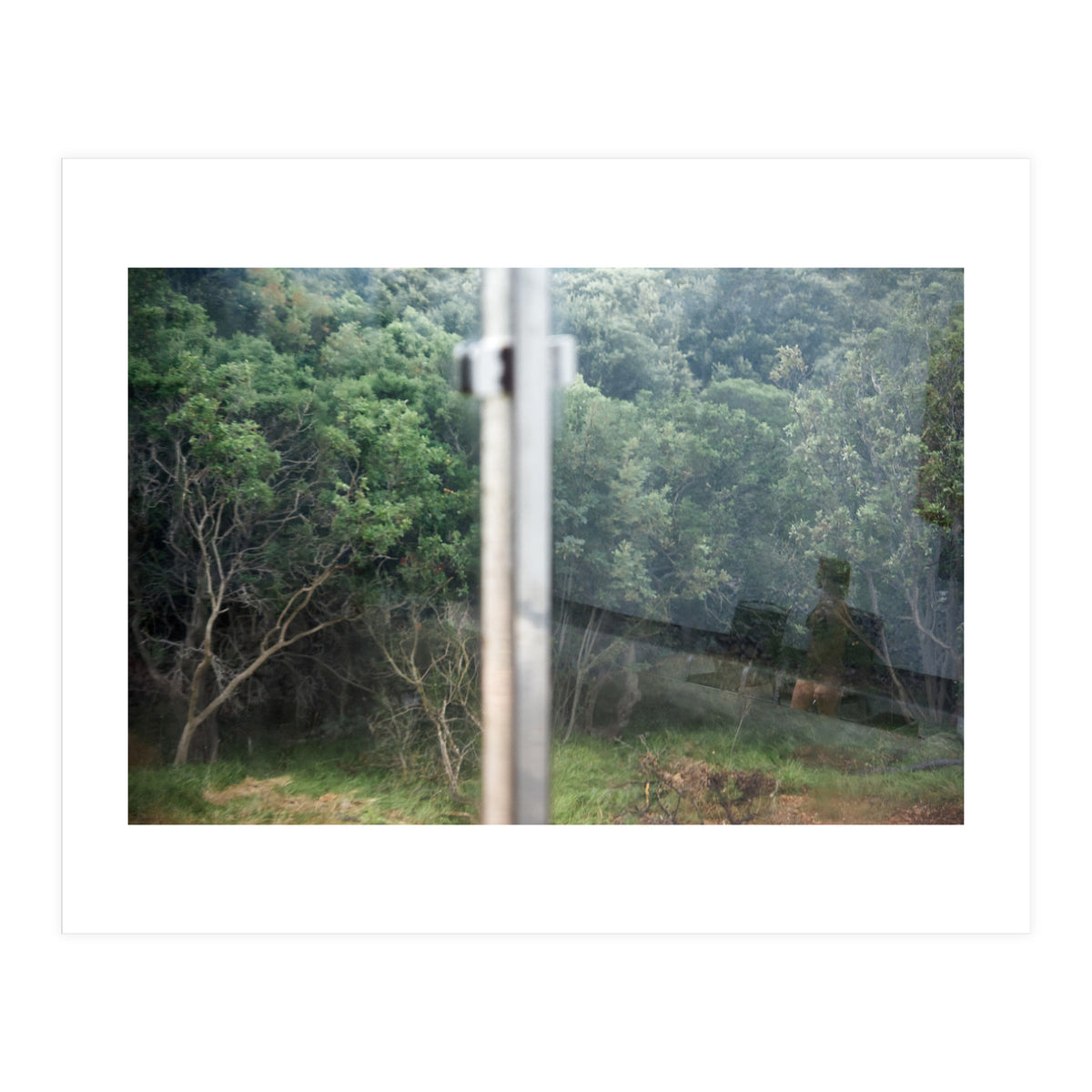 Diary of a Stalker (Print Only)