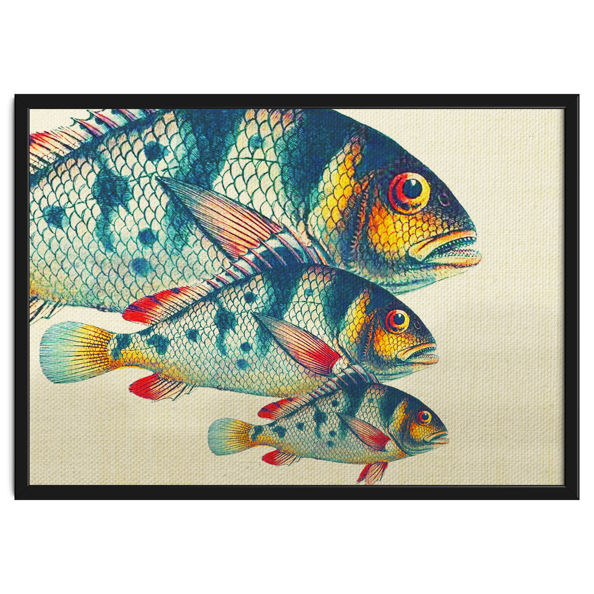 Fish Classic Designs 3