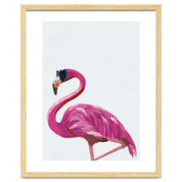 Flamingo Portrait Wearing Sunglasses