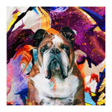 Zycko Color Dog 3 (Print Only) thumbnail