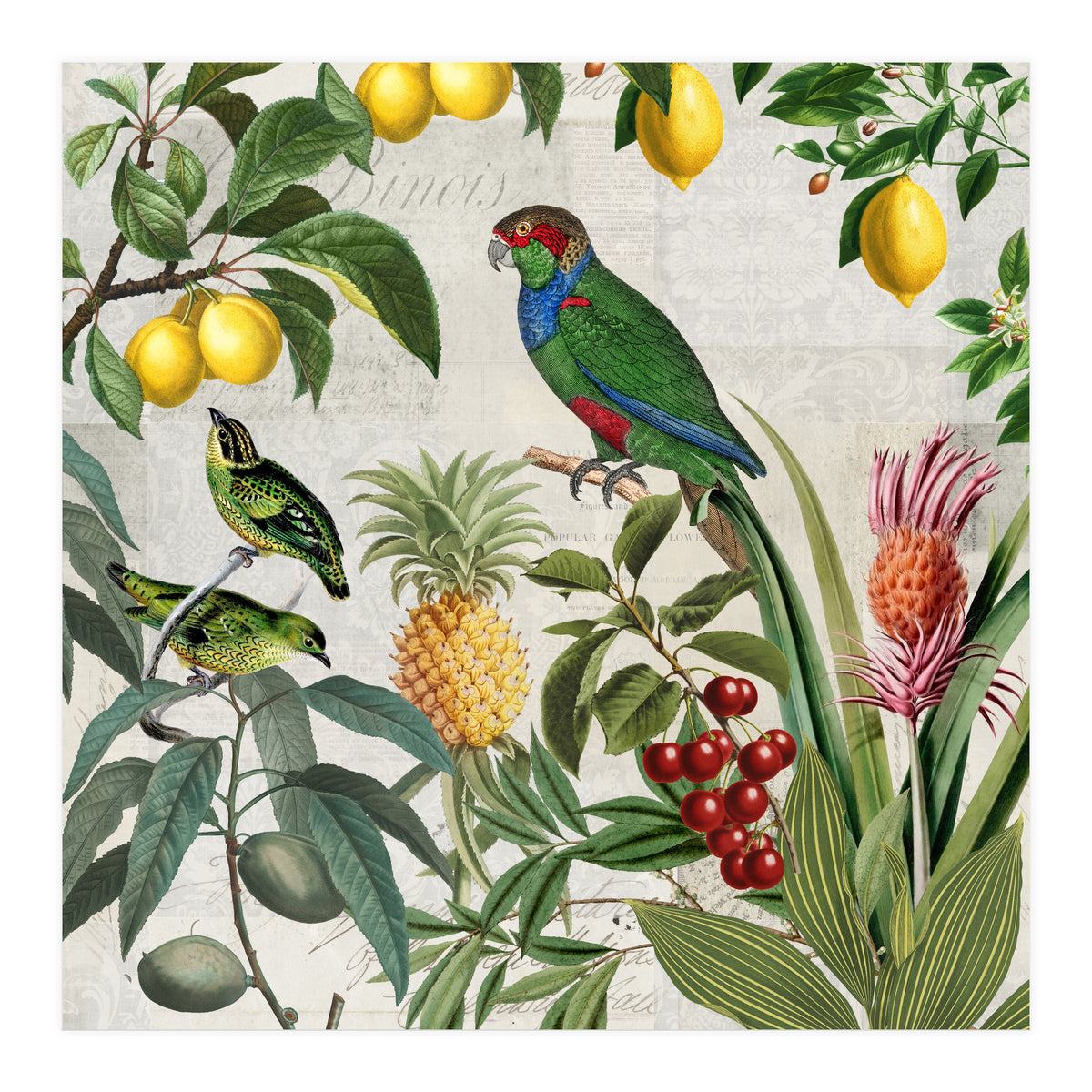 Fruit Paradise (Print Only)