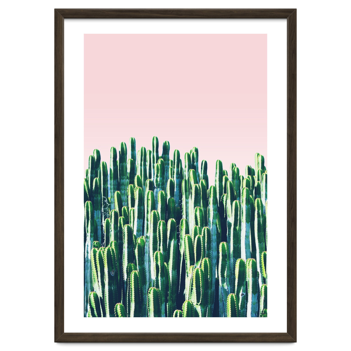 Cactus & Sunset II