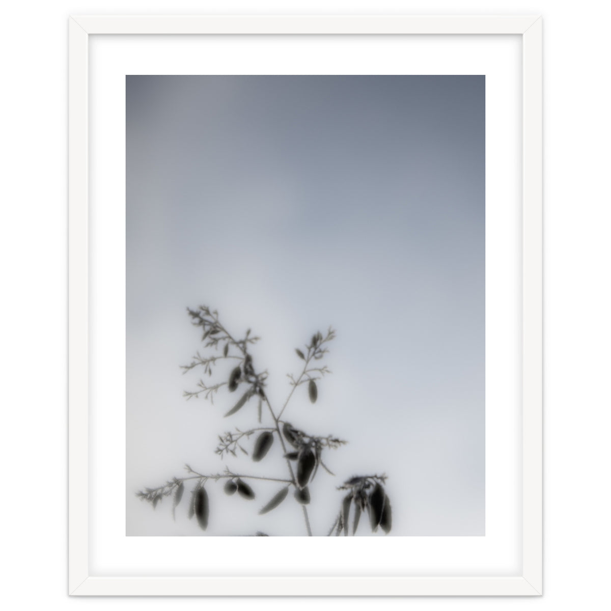 Forgotten Memories of Summer #17