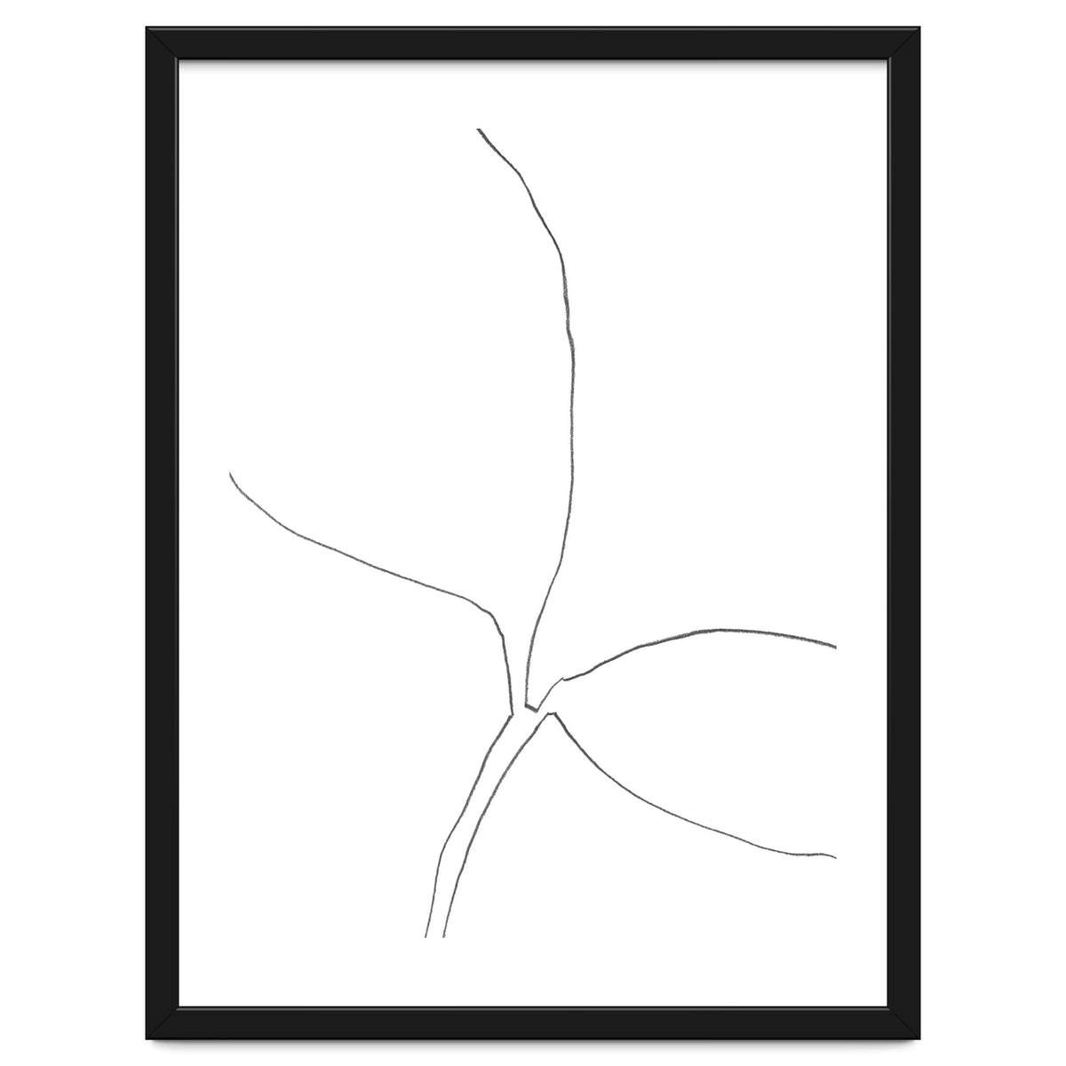 Seedling Leaning Right