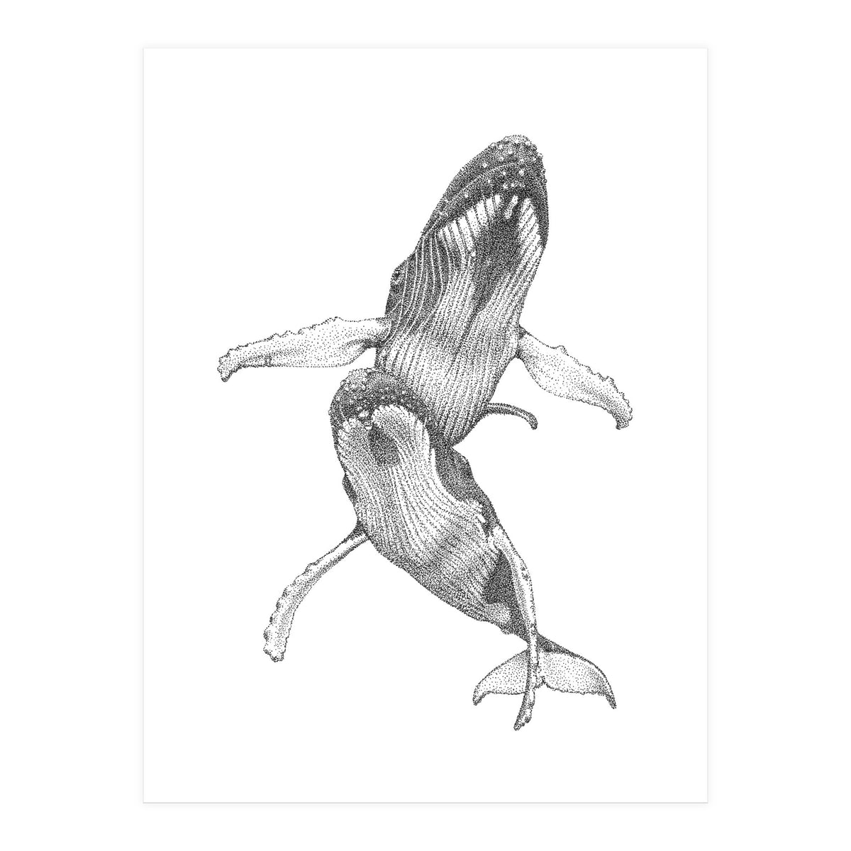 Humpacks no. 1 (Print Only)