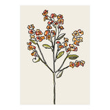 Bunch IV (Print Only) thumbnail