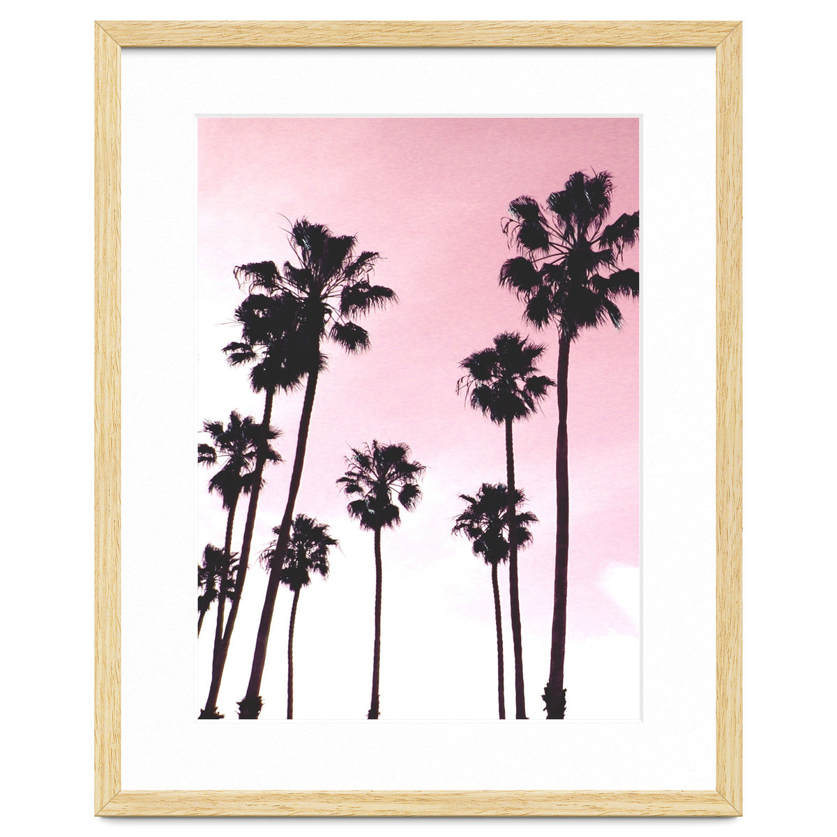 Palms & Sunset