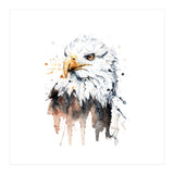 Bald Eagle - Wildlife Collection (Print Only) thumbnail