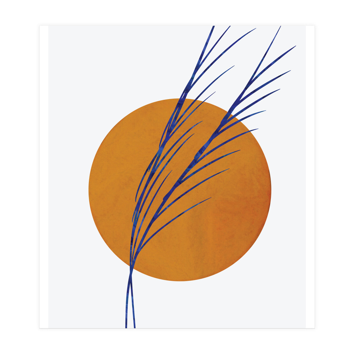 Floral Abstract Study 2  (Print Only)