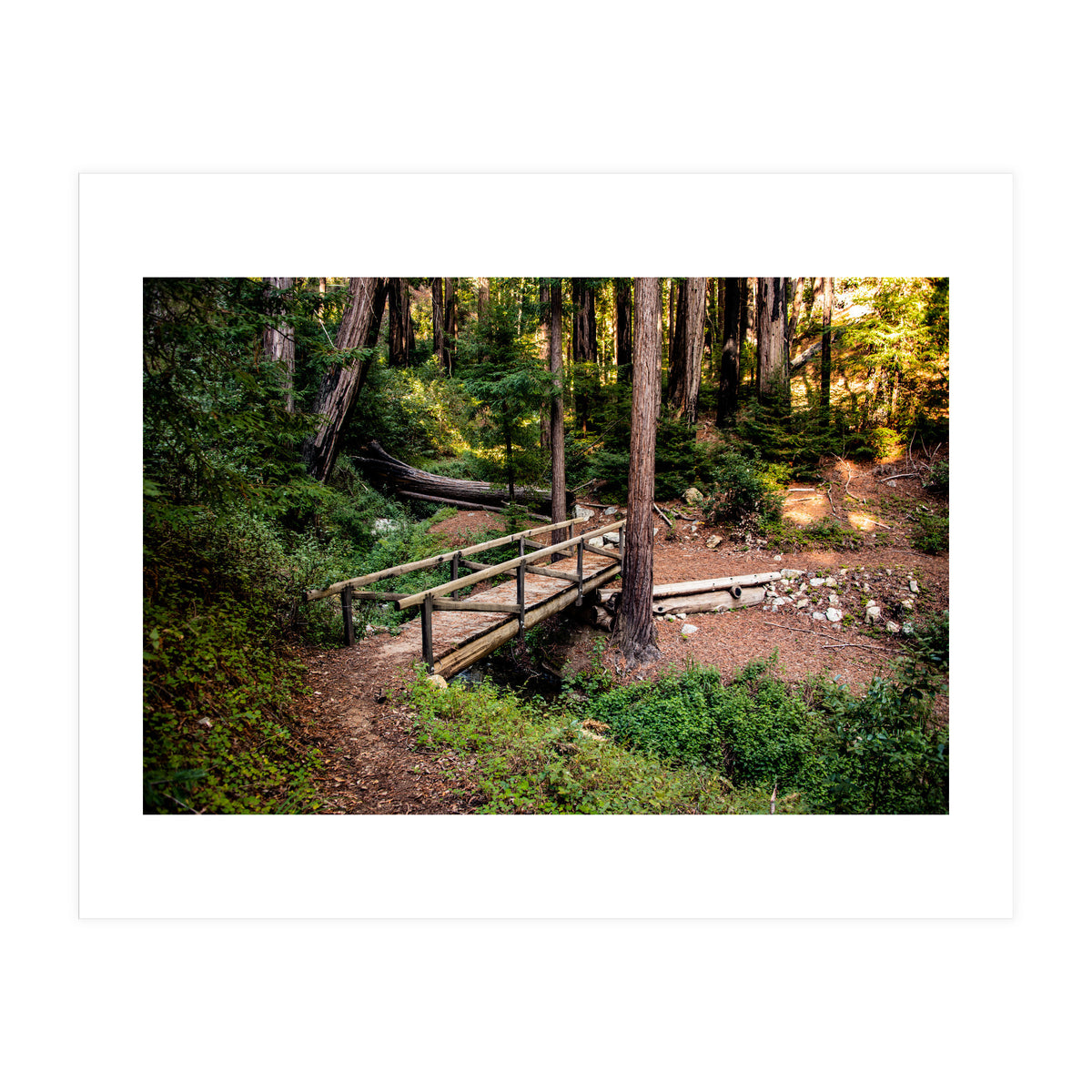 Ewoldsen Loop Bridge (Print Only)