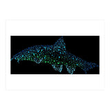 Barbel Fish (Print Only) thumbnail