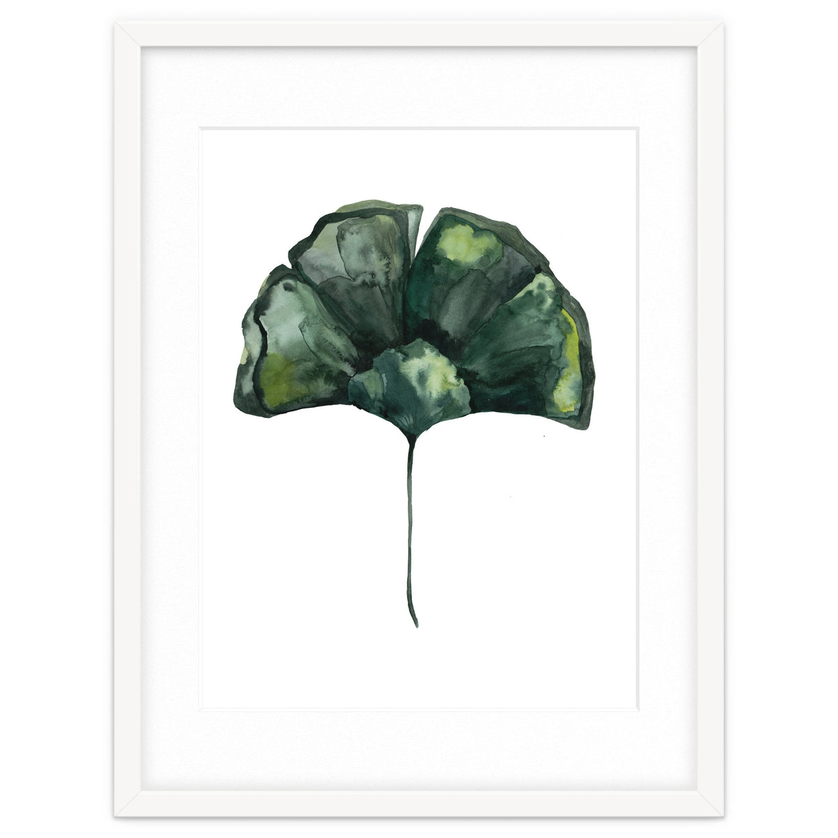 Botanical Illustration Ginko
