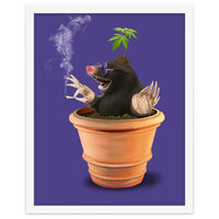 Pot (Colour)