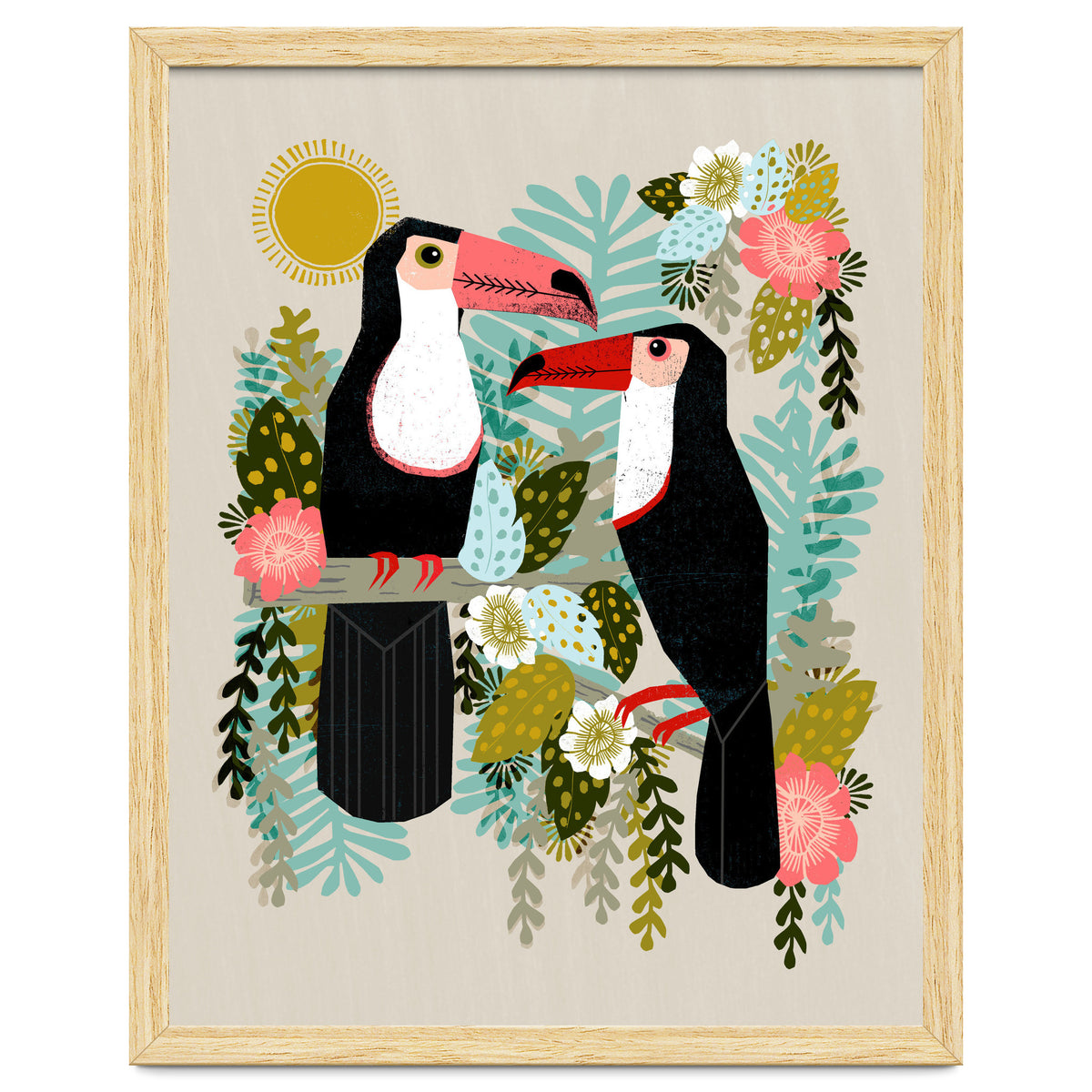 Toucans