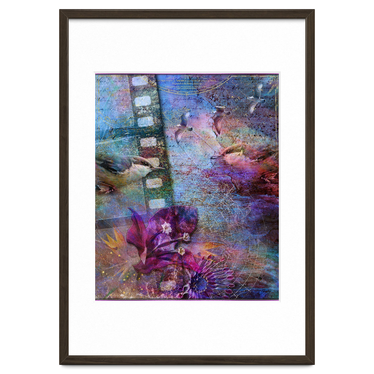 Watching the Wild World