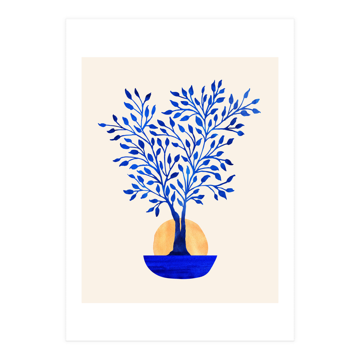 Indigo Ficus Sunrise (Print Only)