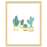 Cactus Garden V2
