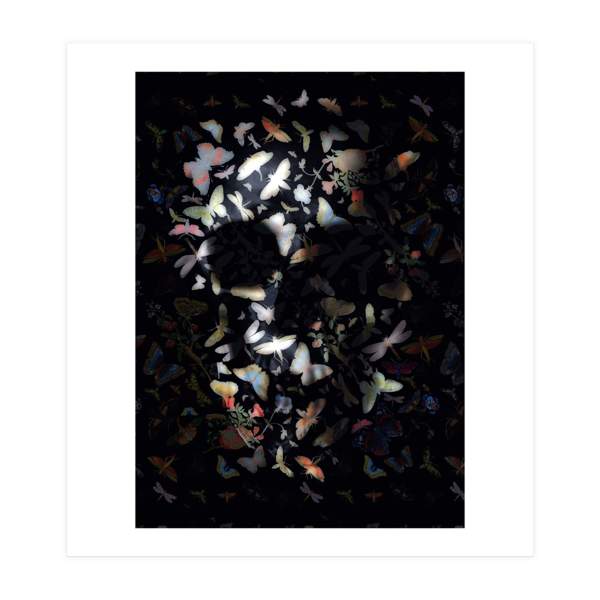 Butterfly Skull (Print Only)