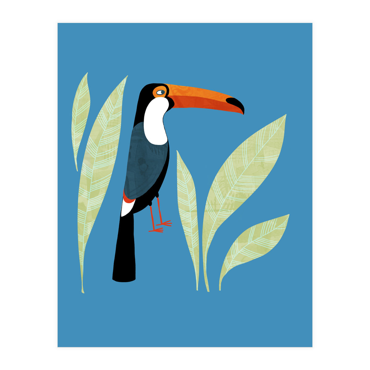 Toucan (Print Only)